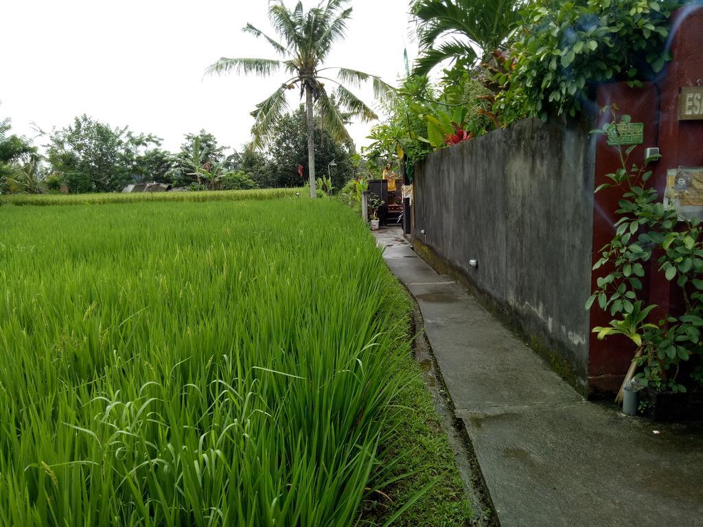 Villa Esa Ubud Eksteriør billede
